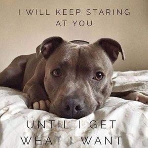 Meet your Posher, Jeff